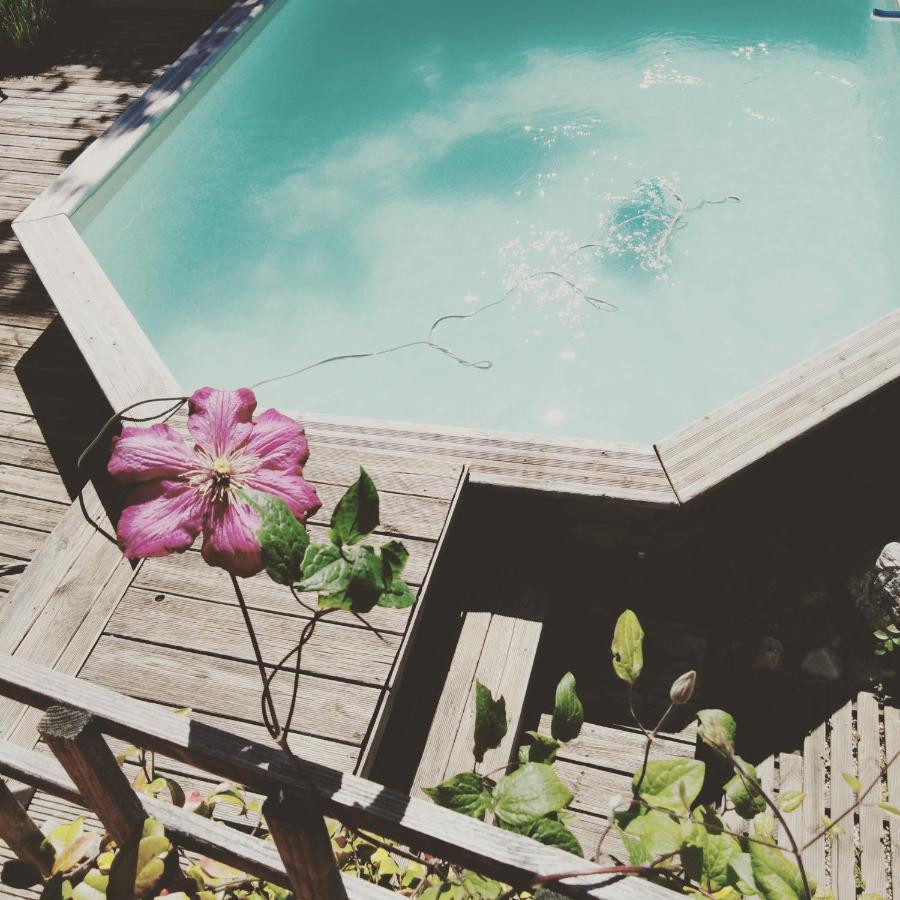 Chalet La Bachole Charancieu エクステリア 写真