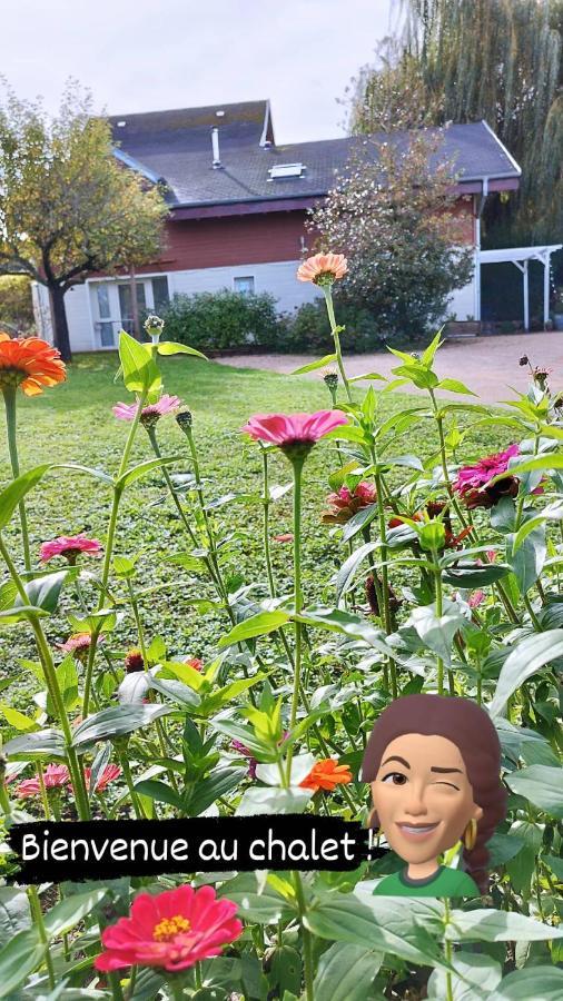Chalet La Bachole Charancieu エクステリア 写真